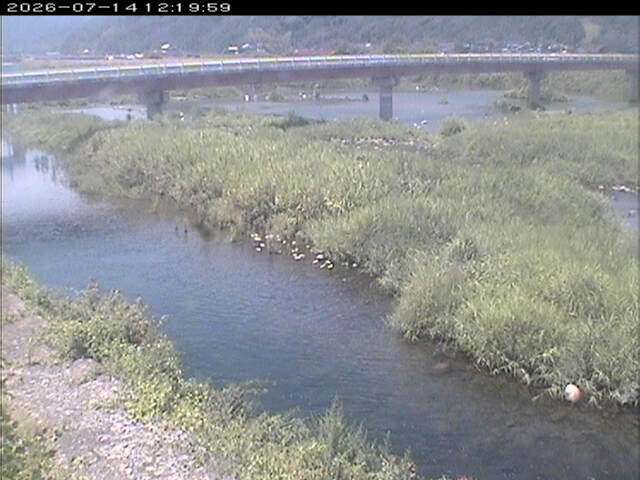 八東川１2026/07/14 15:20:00
