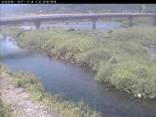 八東川１2026/07/14 15:20:00