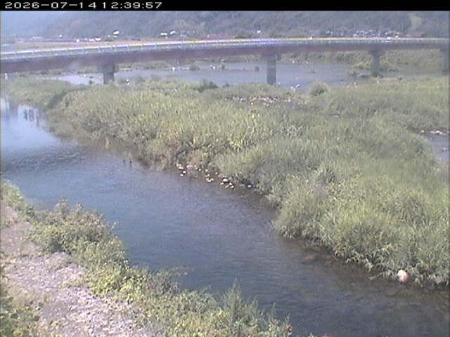 八東川１2026/07/14 15:20:00