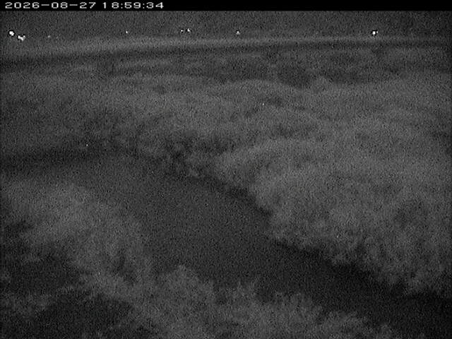 八東川１2026/08/28 17:00:00