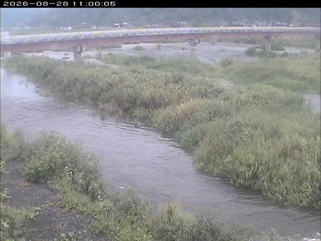 八東川１2026/08/28 17:00:00