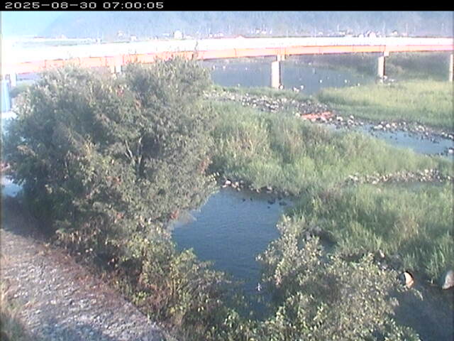 八東川１2025/08/31 0:50:00