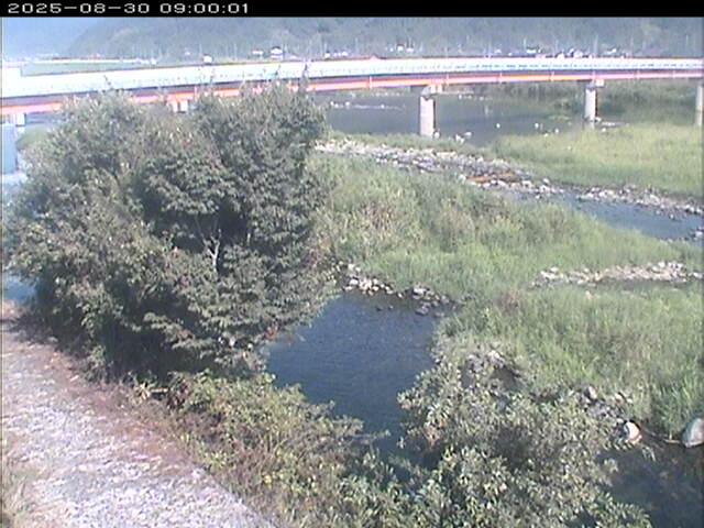 八東川１2025/08/31 0:50:00