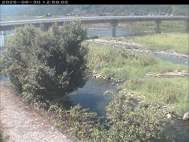 八東川１2025/08/31 0:50:00