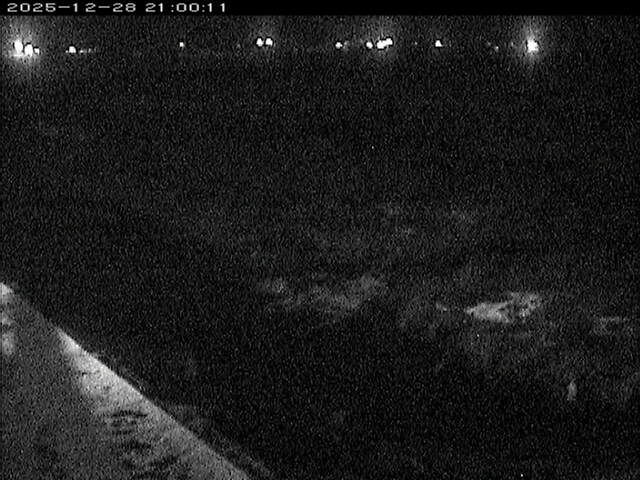 八東川１2025/12/29 9:50:00