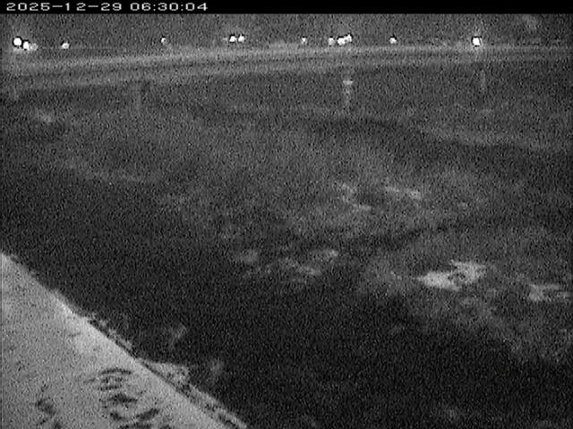 八東川１2025/12/29 9:50:00