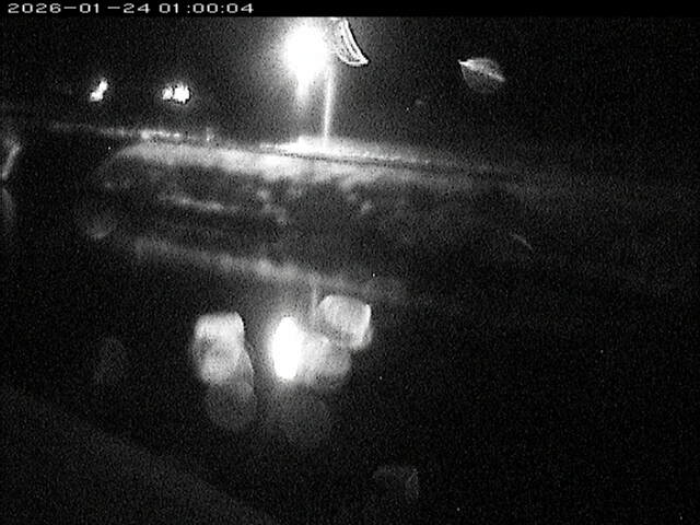 日置川２2026/01/24 1:30:00