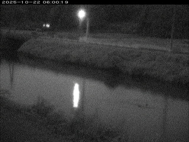 日置川２2025/10/22 11:20:00