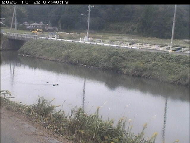 日置川２2025/10/22 11:20:00