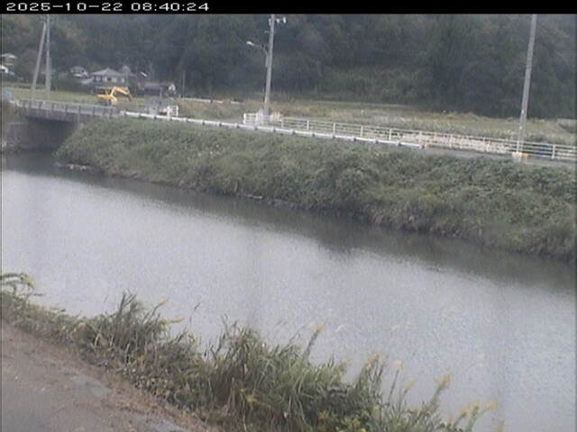 日置川２2025/10/22 11:20:00