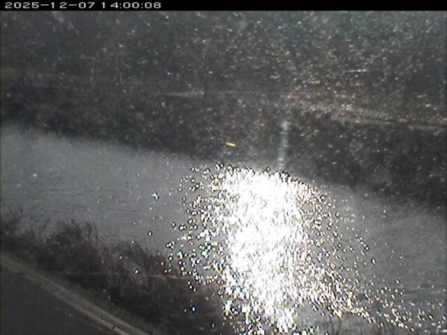 日置川２2025/12/08 11:30:00