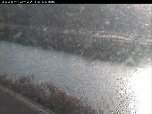 日置川２2025/12/08 11:30:00