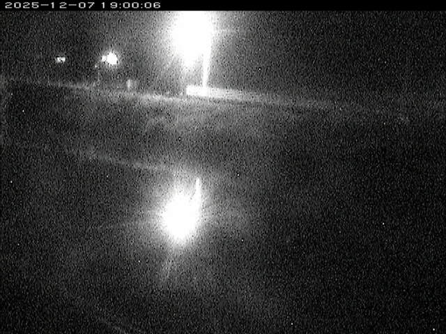 日置川２2025/12/08 11:30:00