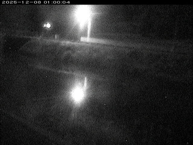 日置川２2025/12/08 11:30:00