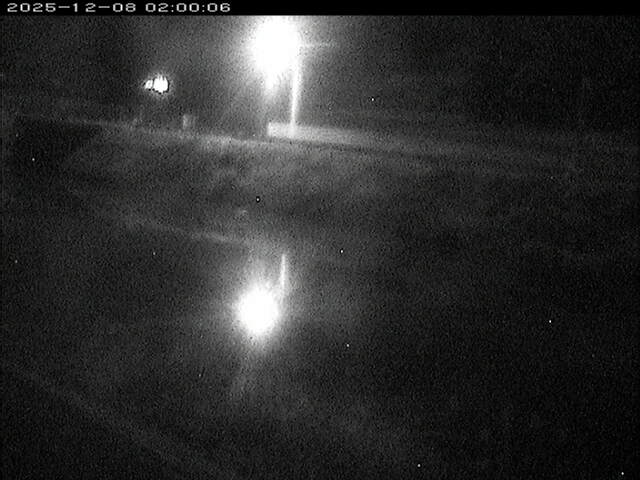 日置川２2025/12/08 11:30:00