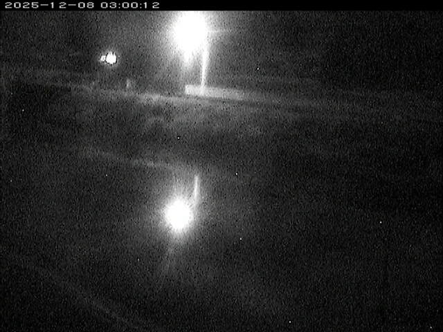 日置川２2025/12/08 11:30:00