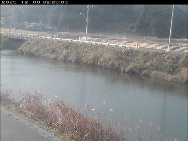 日置川２2025/12/08 11:30:00