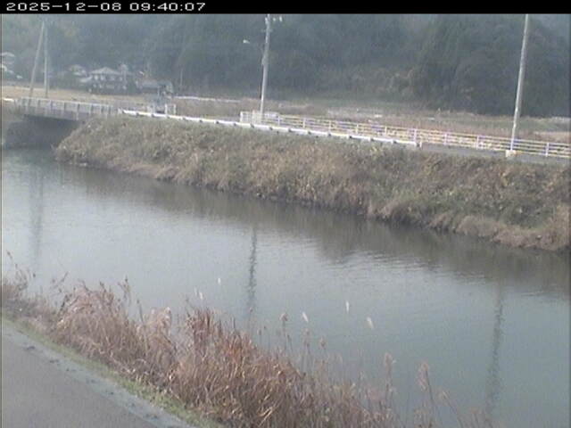 日置川２2025/12/08 11:30:00