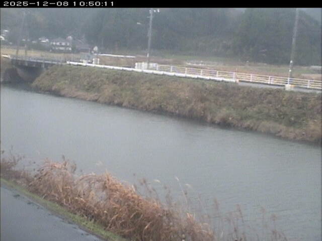 日置川２2025/12/08 11:30:00