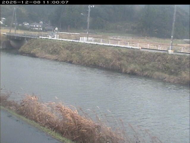日置川２2025/12/08 11:30:00