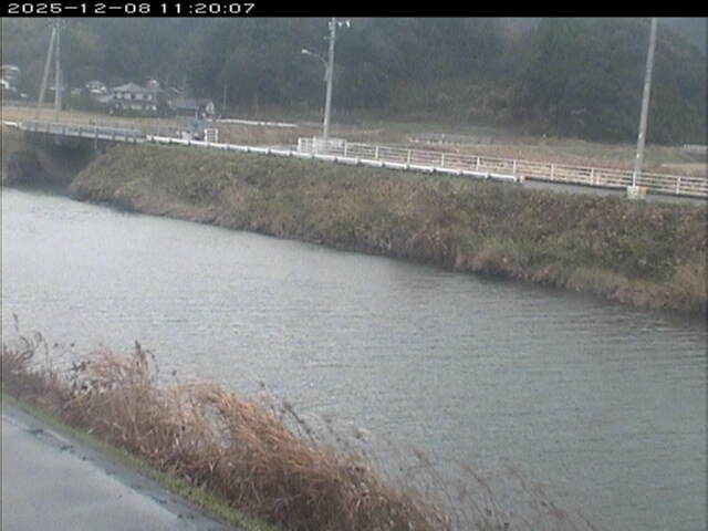 日置川２2025/12/08 11:30:00