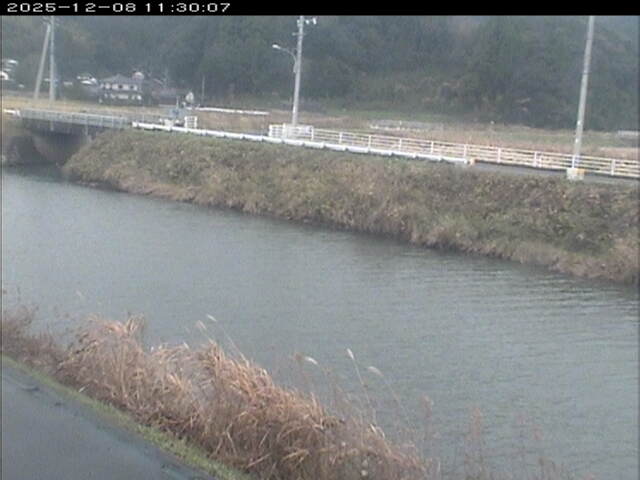 日置川２2025/12/08 11:30:00