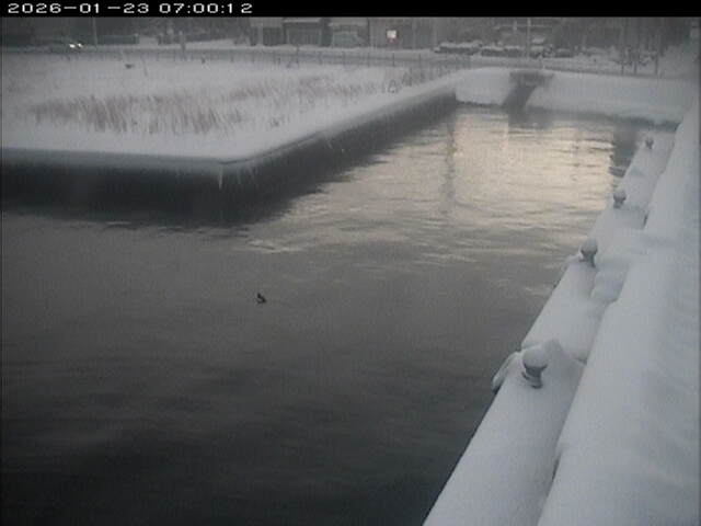 東郷池１2026/01/24 1:40:00