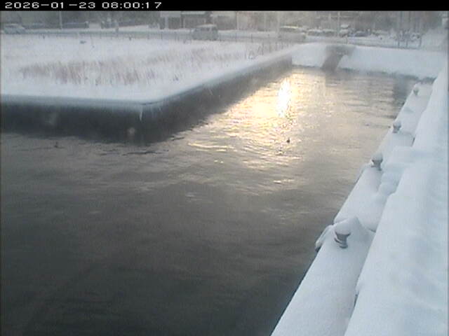 東郷池１2026/01/24 1:40:00