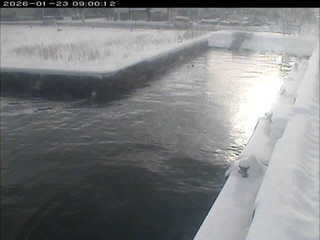 東郷池１2026/01/24 1:40:00