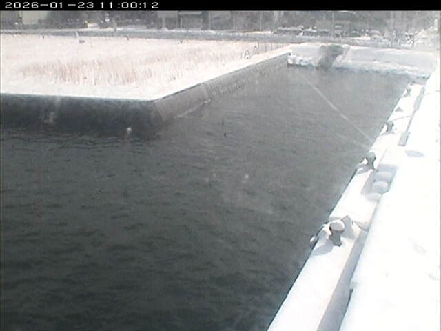 東郷池１2026/01/24 1:40:00