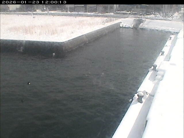 東郷池１2026/01/24 1:40:00