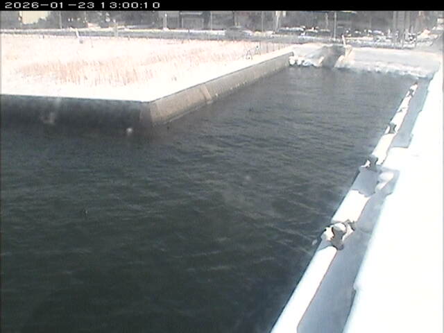 東郷池１2026/01/24 1:40:00