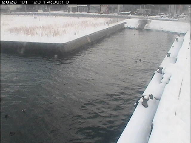 東郷池１2026/01/24 1:40:00