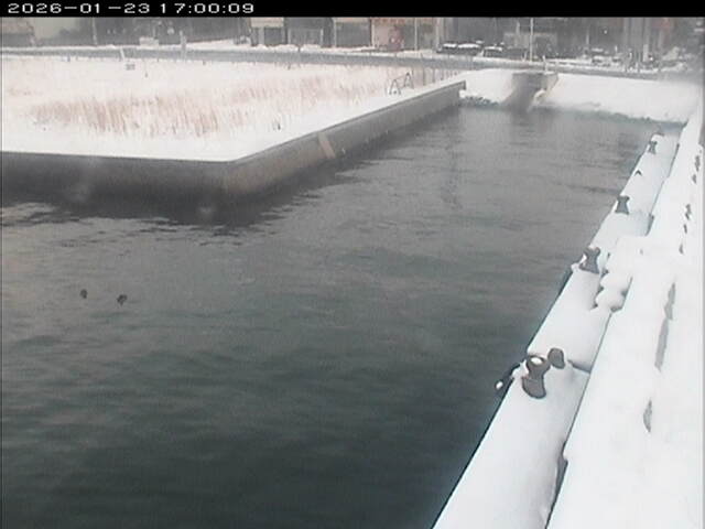 東郷池１2026/01/24 1:40:00