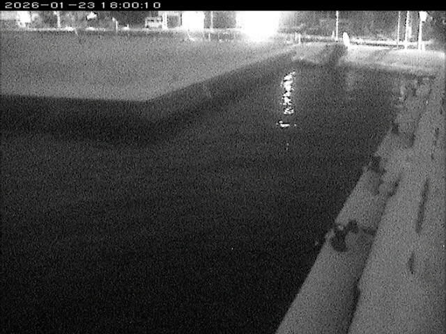 東郷池１2026/01/24 1:40:00