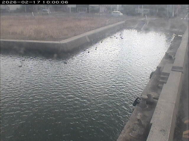 東郷池１2026/02/17 18:20:00