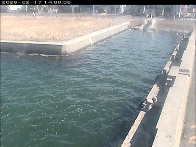 東郷池１2026/02/17 18:20:00