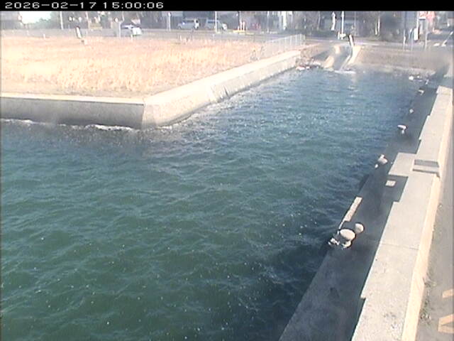 東郷池１2026/02/17 18:20:00