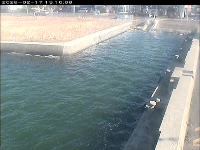 東郷池１2026/02/17 18:20:00