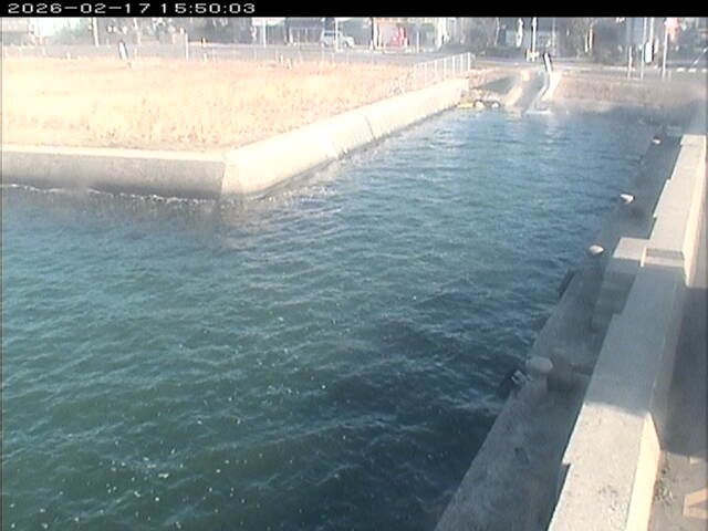 東郷池１2026/02/17 18:20:00