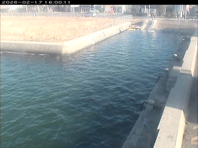 東郷池１2026/02/17 18:20:00