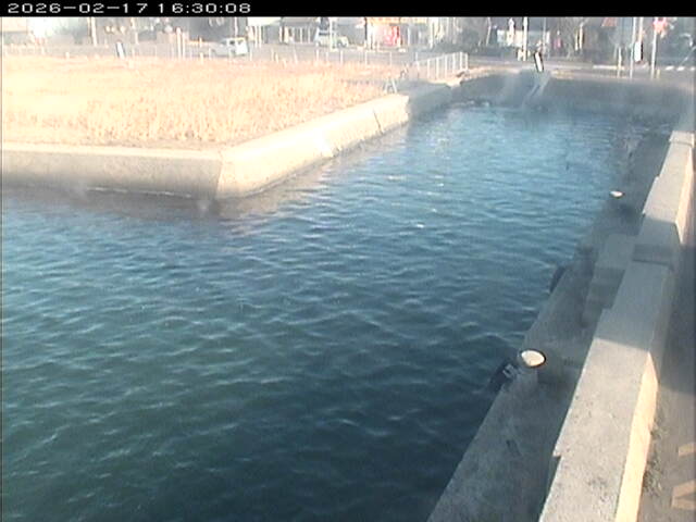 東郷池１2026/02/17 18:20:00