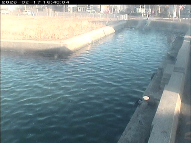 東郷池１2026/02/17 18:20:00