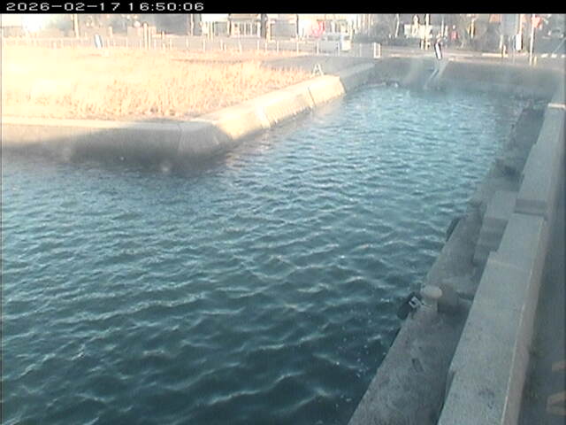 東郷池１2026/02/17 18:20:00