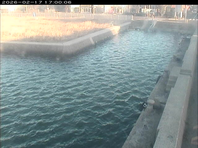 東郷池１2026/02/17 18:20:00