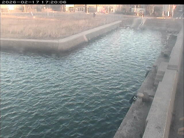 東郷池１2026/02/17 18:20:00