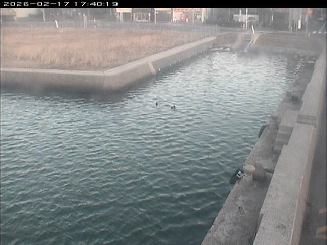 東郷池１2026/02/17 18:20:00
