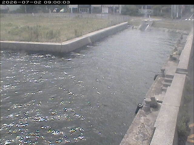 東郷池１2026/07/03 8:30:00