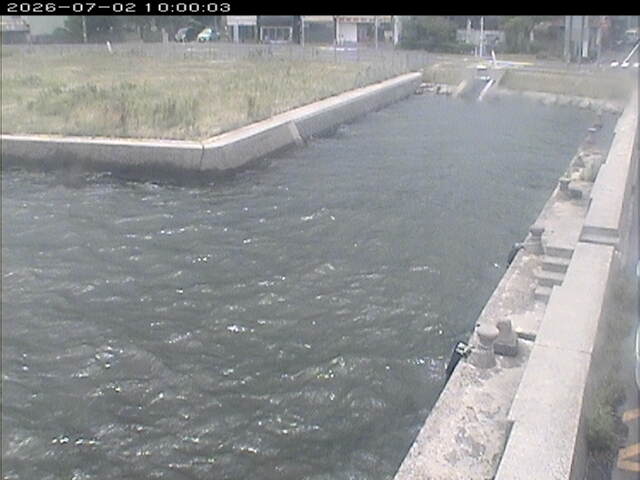 東郷池１2026/07/03 8:30:00