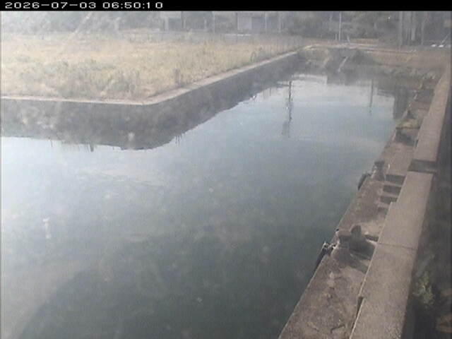 東郷池１2026/07/03 8:30:00